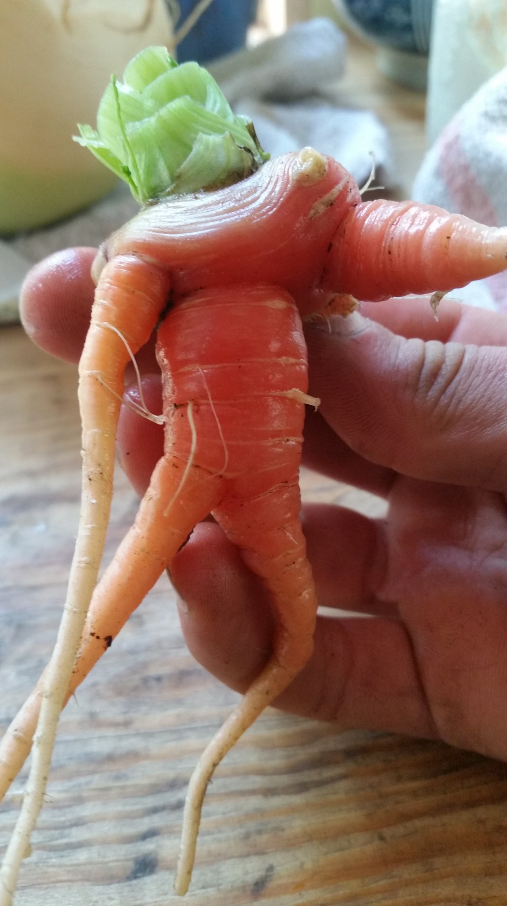 Potage Crecy French Carrot Soup