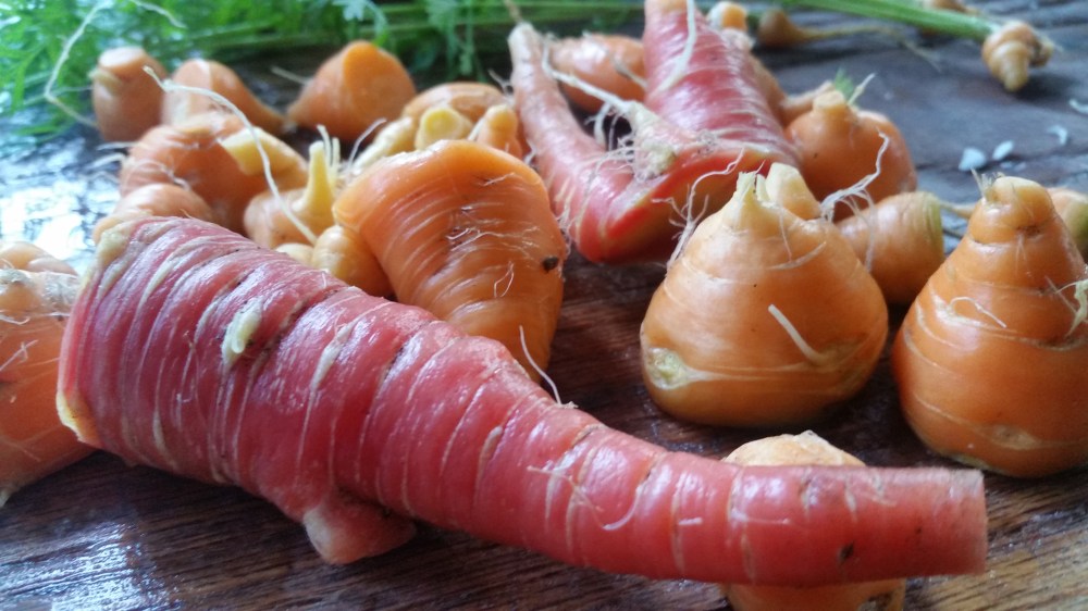 Potage Crecy French Carrot Soup