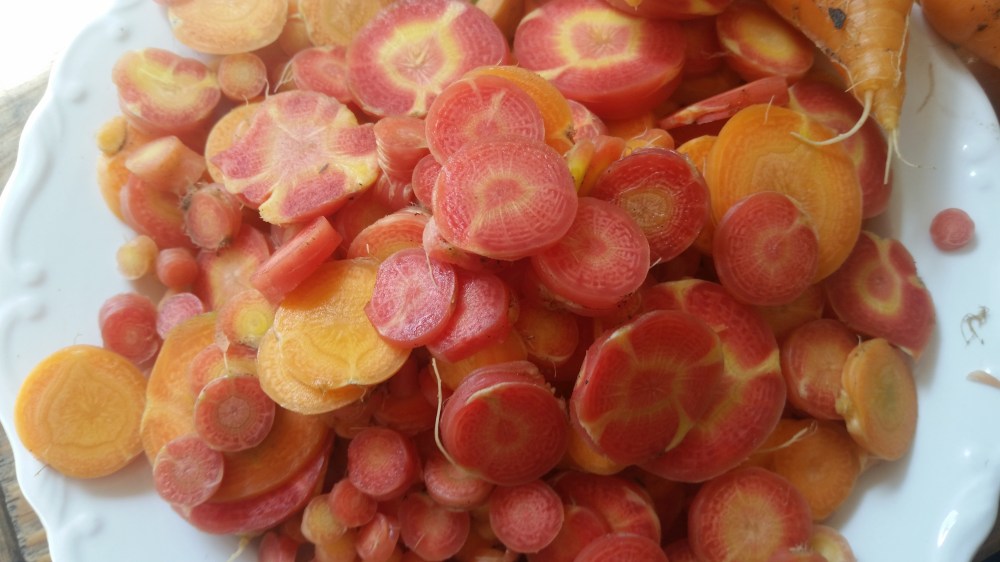 Potage Crecy French Carrot Soup