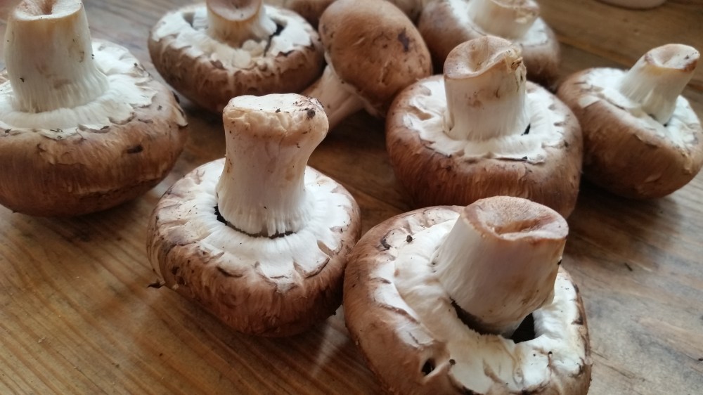 Chicken Fricassee: Fricassee de poulet