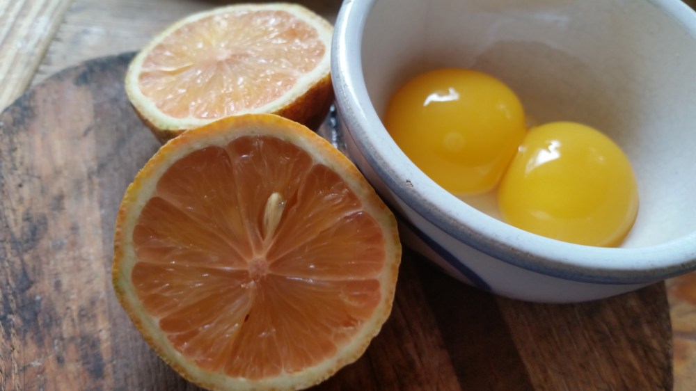 Chicken Fricassee: Fricassee de poulet