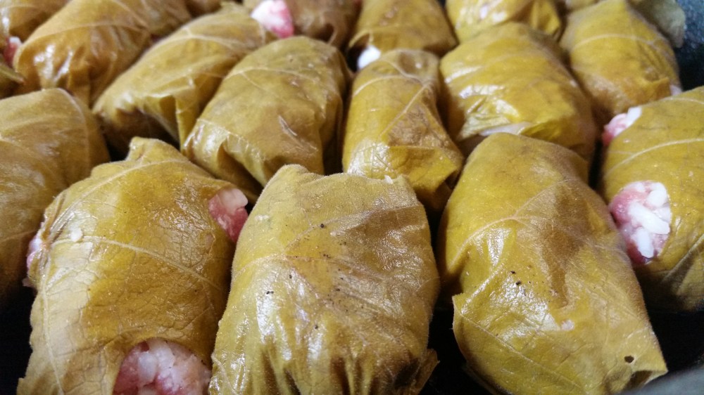 stuffed grape leaves
