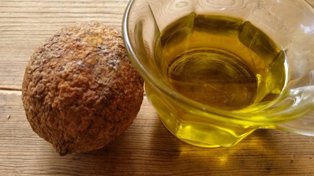 stuffed grape leaves