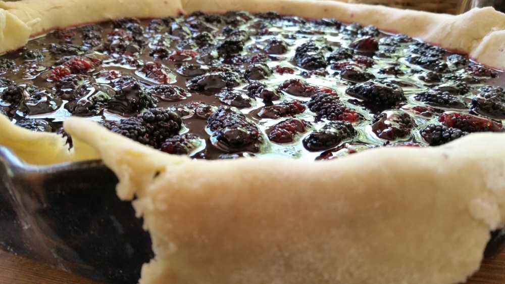 mulberry pie