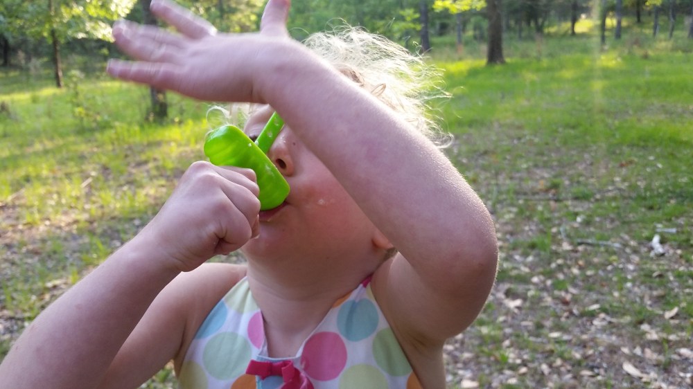orange creamsicle ice pops
