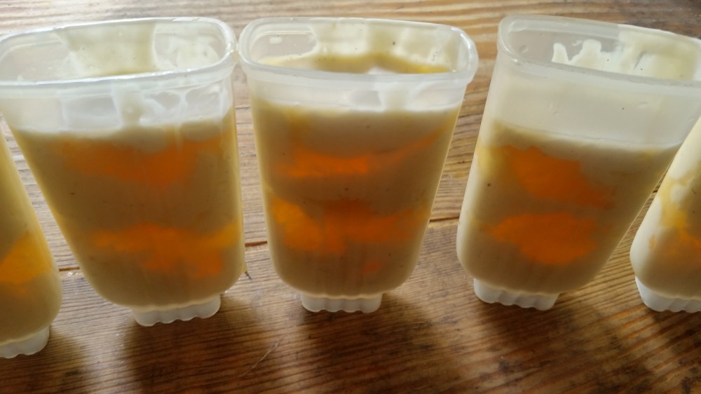 orange creamsicle ice pops