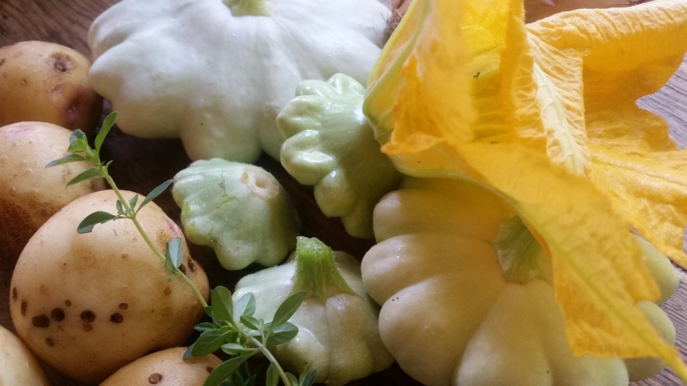 Mock artichoke soup Patty Pan Squash