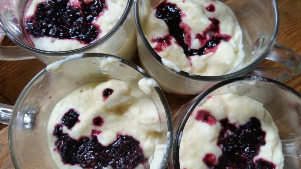 Frozen Vanilla Cream With Wild Blackberry Jam