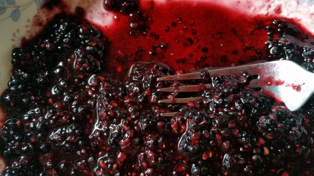 Frozen Vanilla Cream With Wild Blackberry Jam