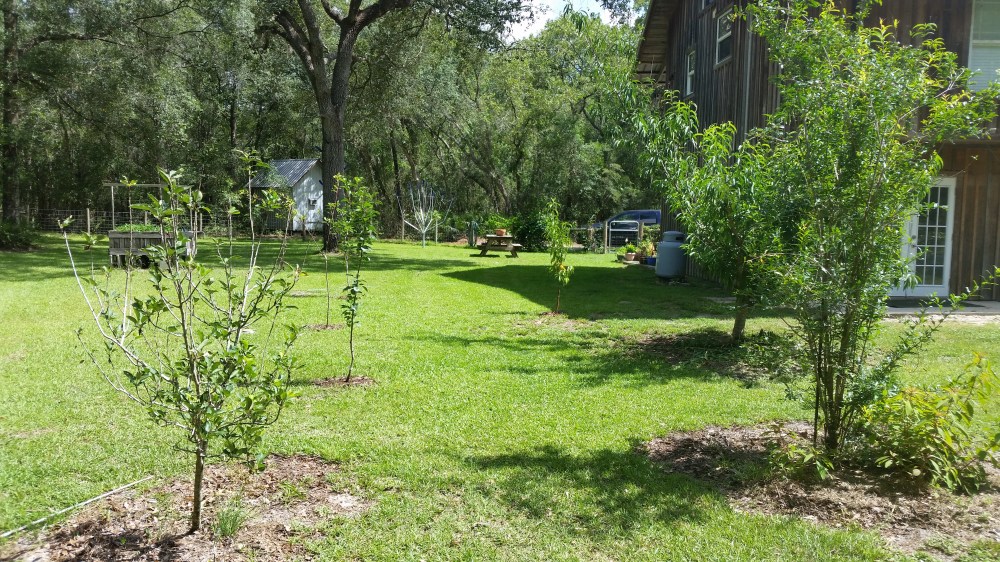 Tom Wootton Garden Interview