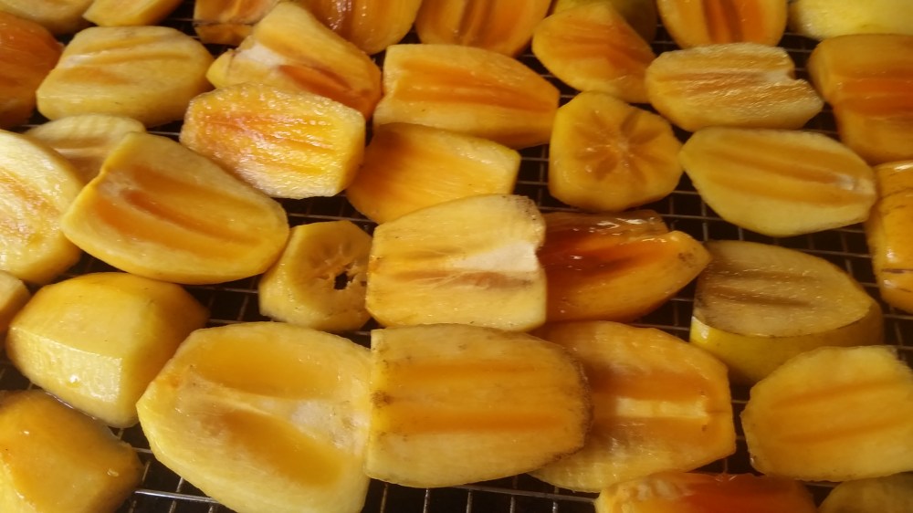 sliced persimmons