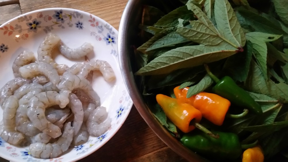 Roselle Shrimp Curry