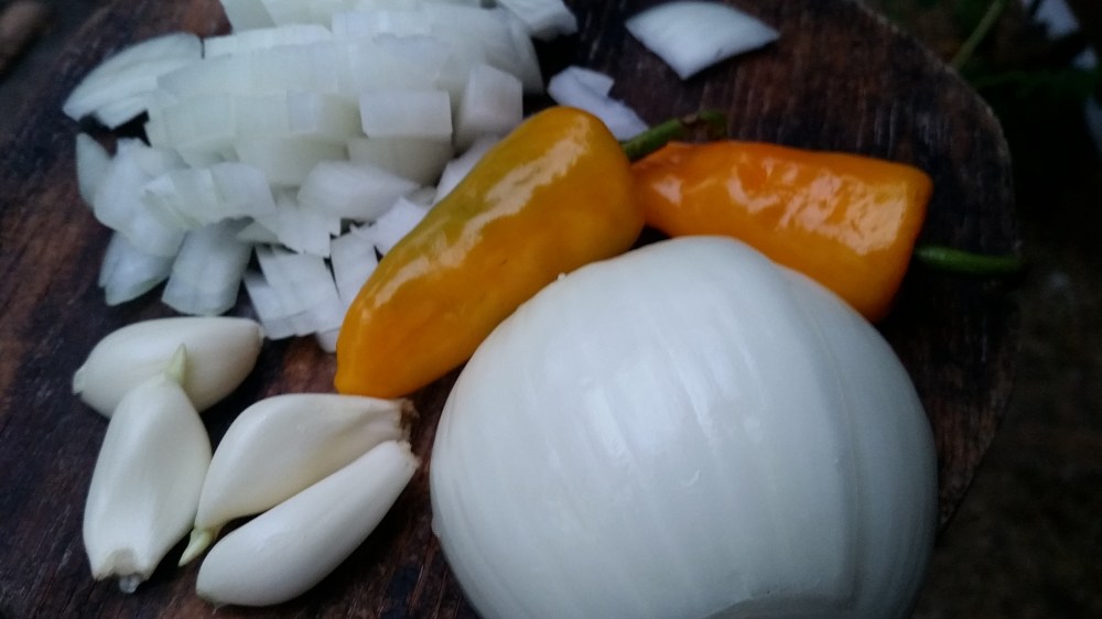 Roselle Shrimp Curry