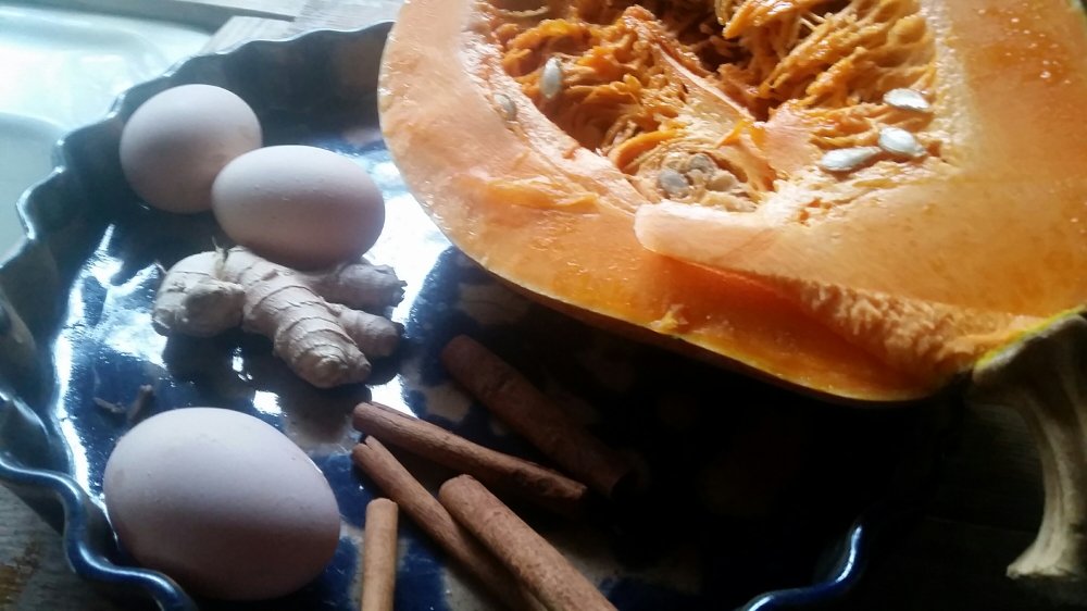 Old fashioned pumpkin pie 1