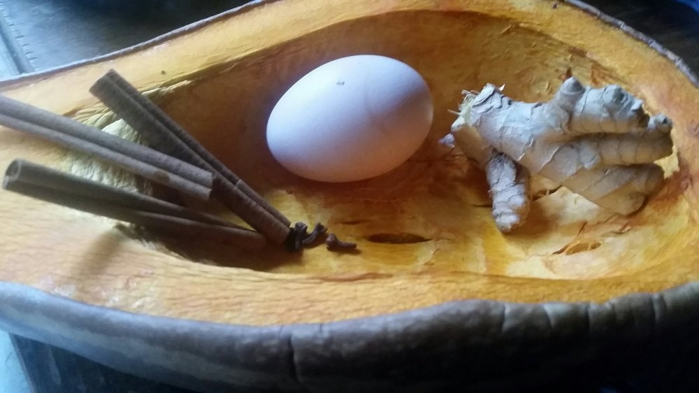 Old fashioned pumpkin pie 2