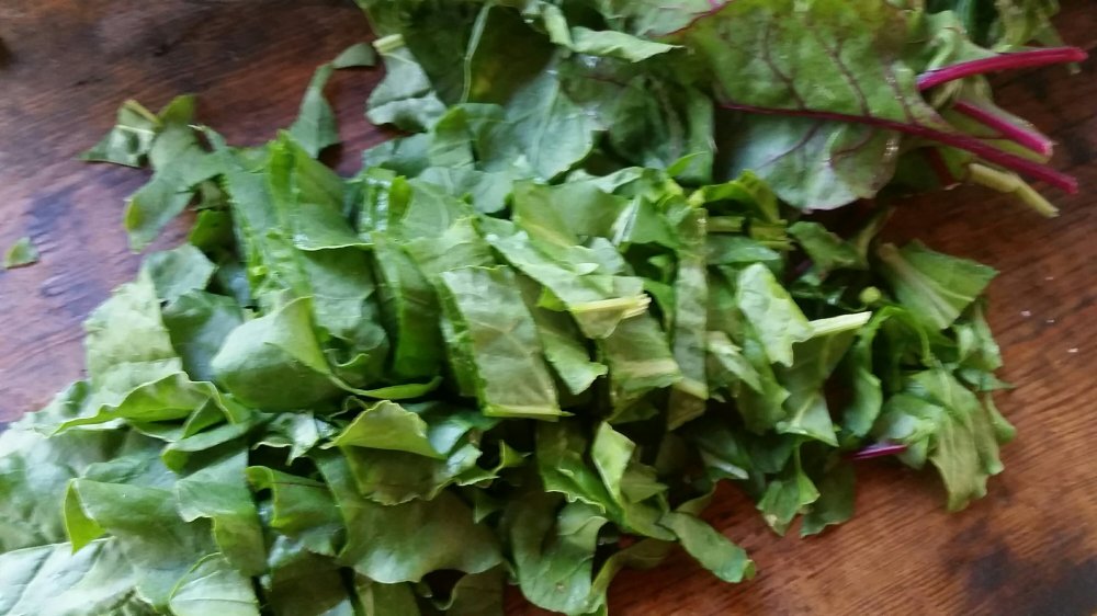 Beet greens Chicken and spinach stew 3