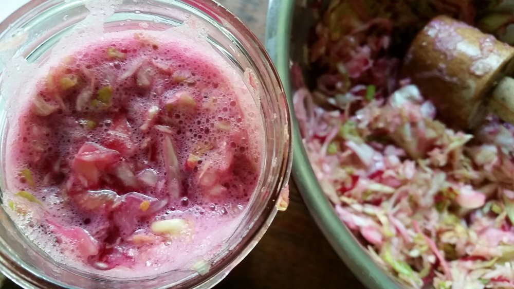 Pink sauerkraut 1