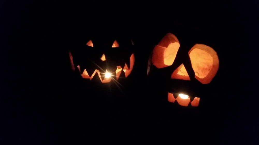 Mustard and cheese wraps 3