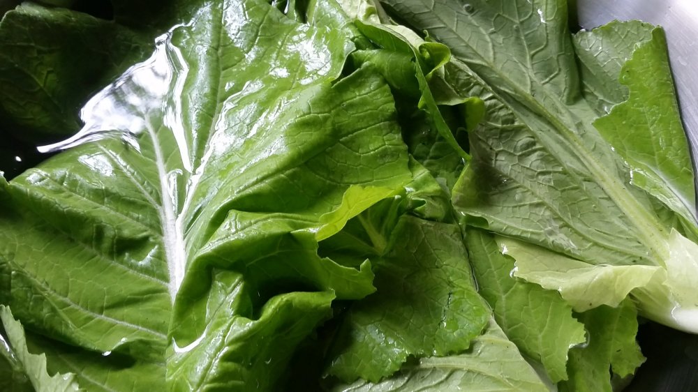 Mustard and cheese wraps 10