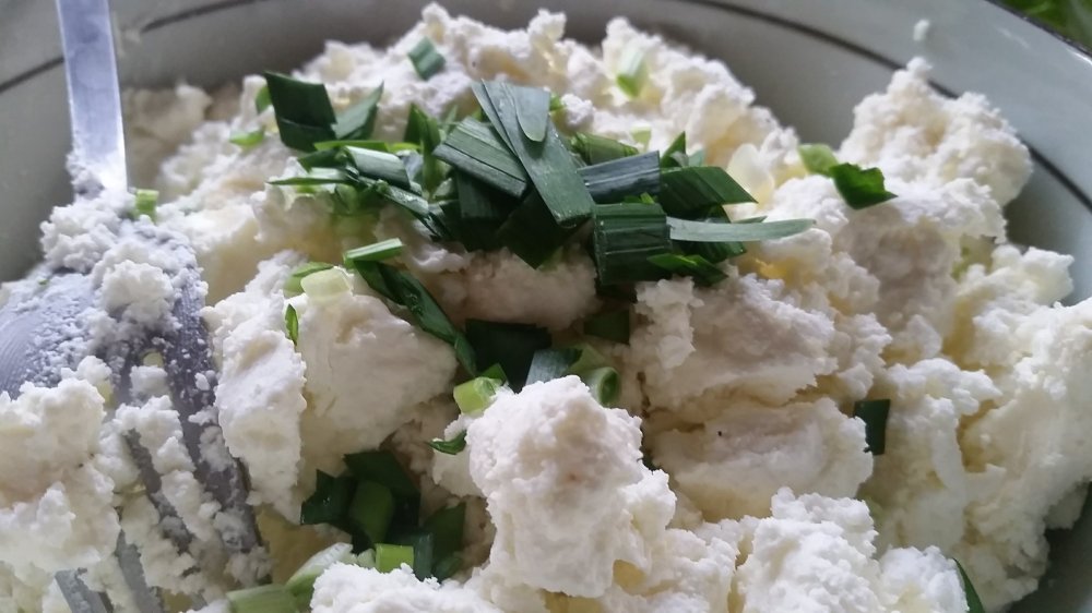  Mustard and cheese wraps 12