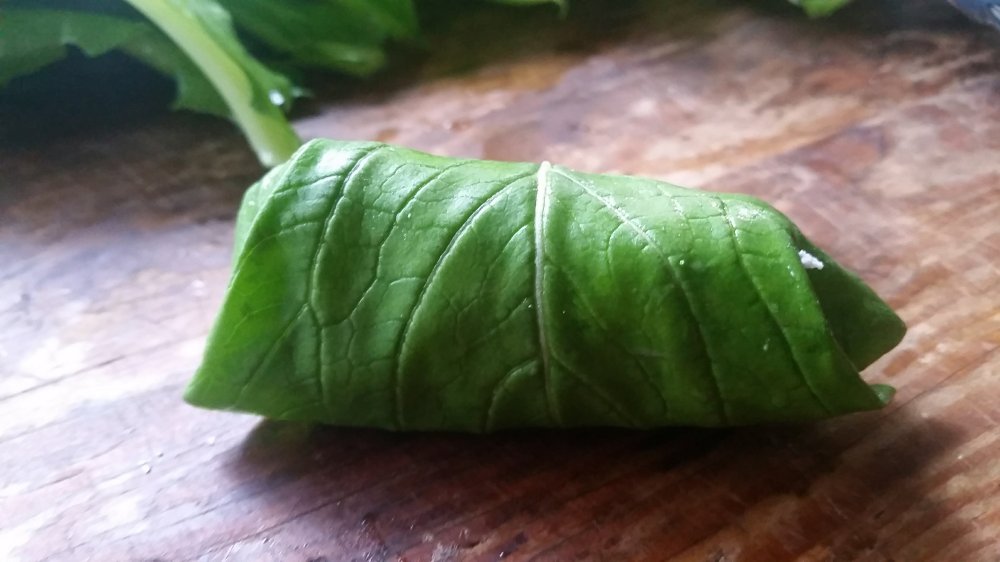 Mustard and cheese wraps 14