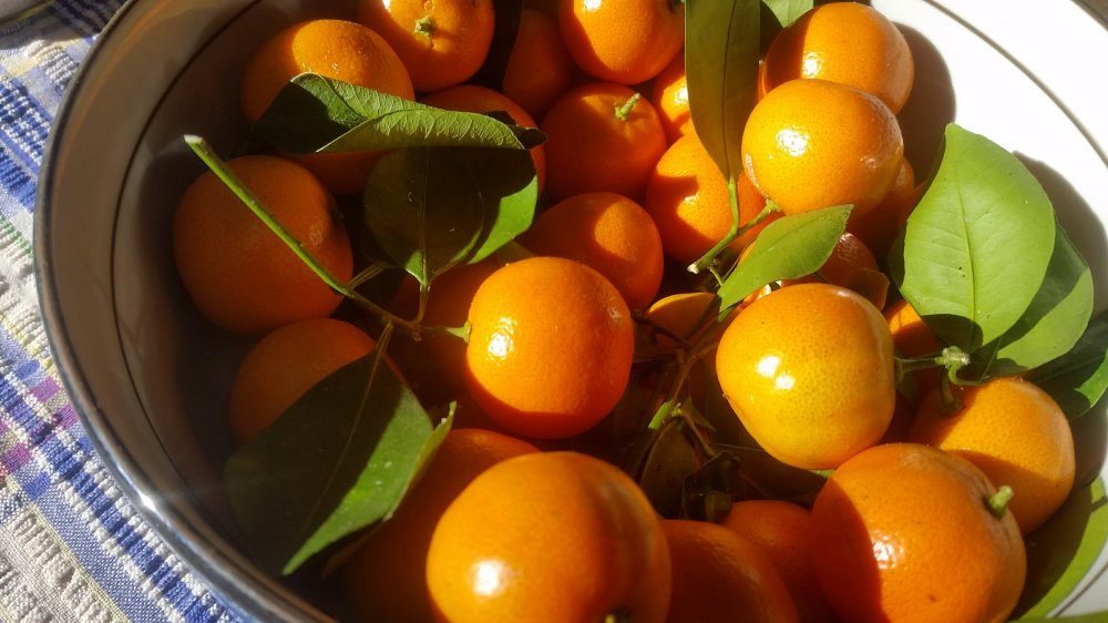 Calamondins Pork and turmeric 2