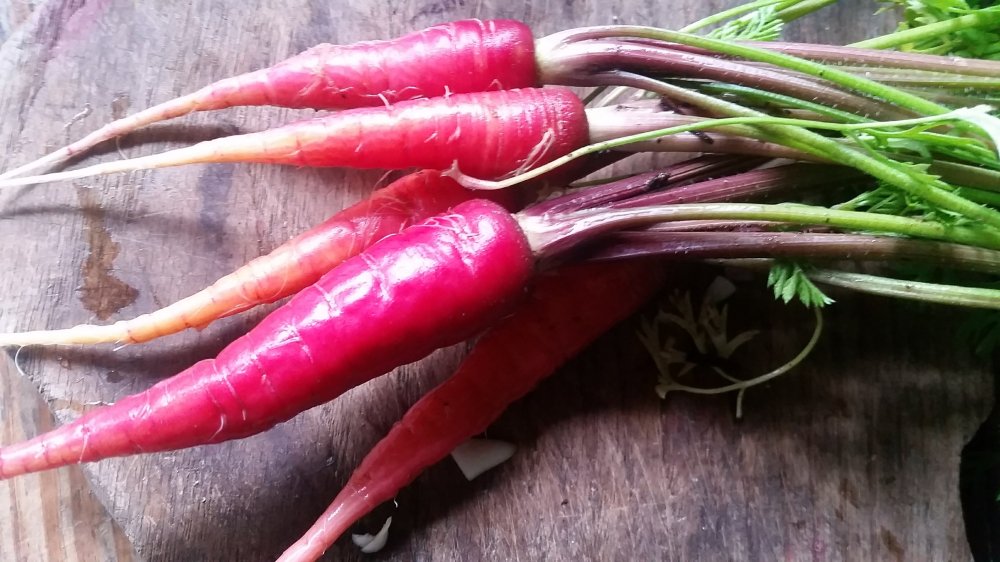 Turmeric-Coconut soup 4