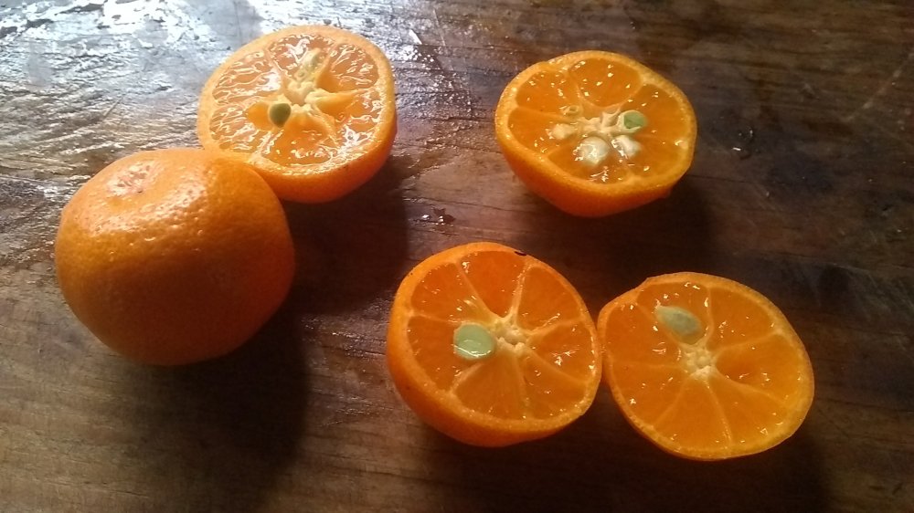 Turmeric-Coconut soup 6