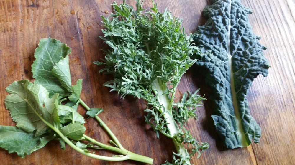 Kale varieties Kale salad 1