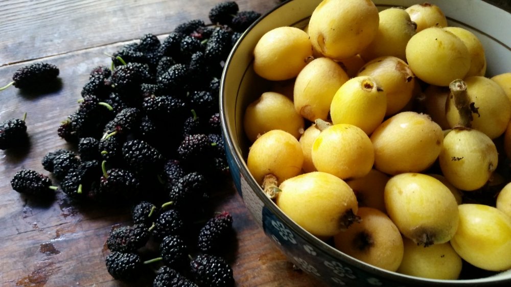 Loquat mulberry cobbler 2