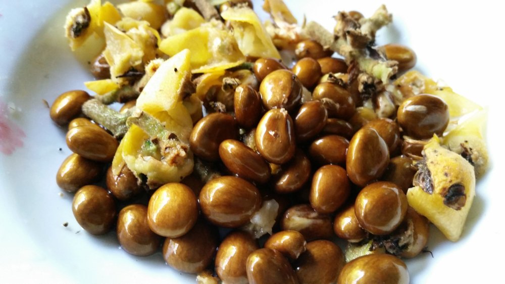 Loquat mulberry cobbler 4