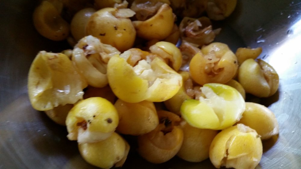 Loquat mulberry cobbler 1