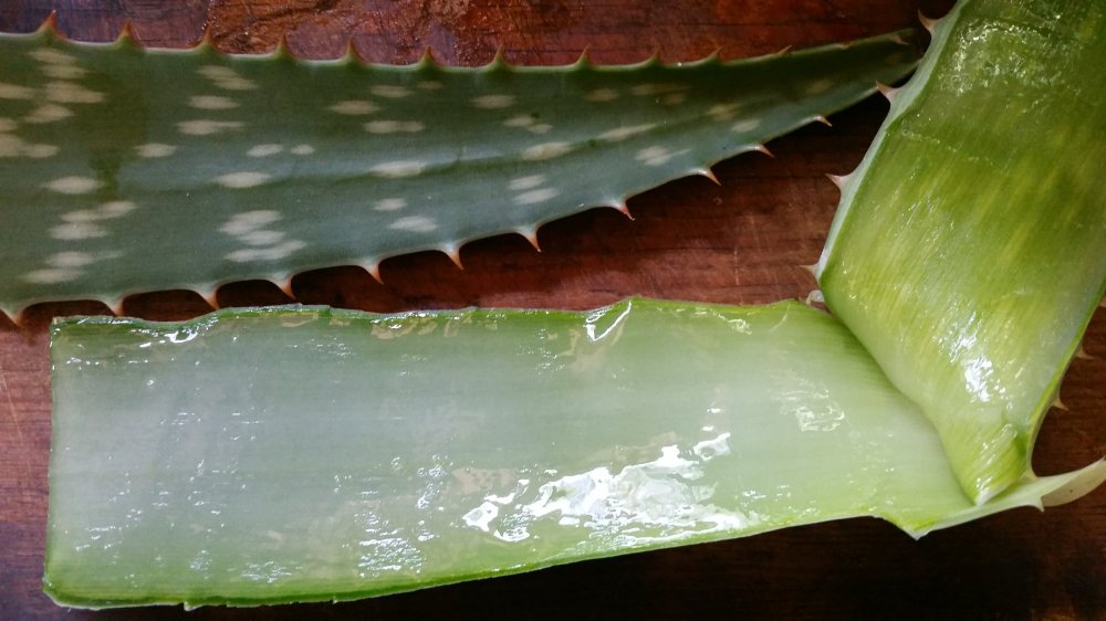 Aloe