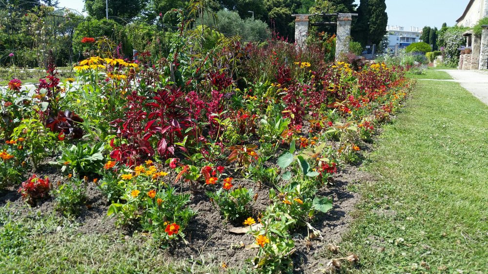 Flower bed 1 Monastary Garden 4
