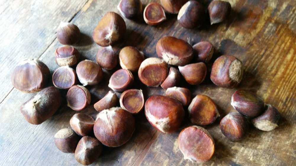Chestnuts 2