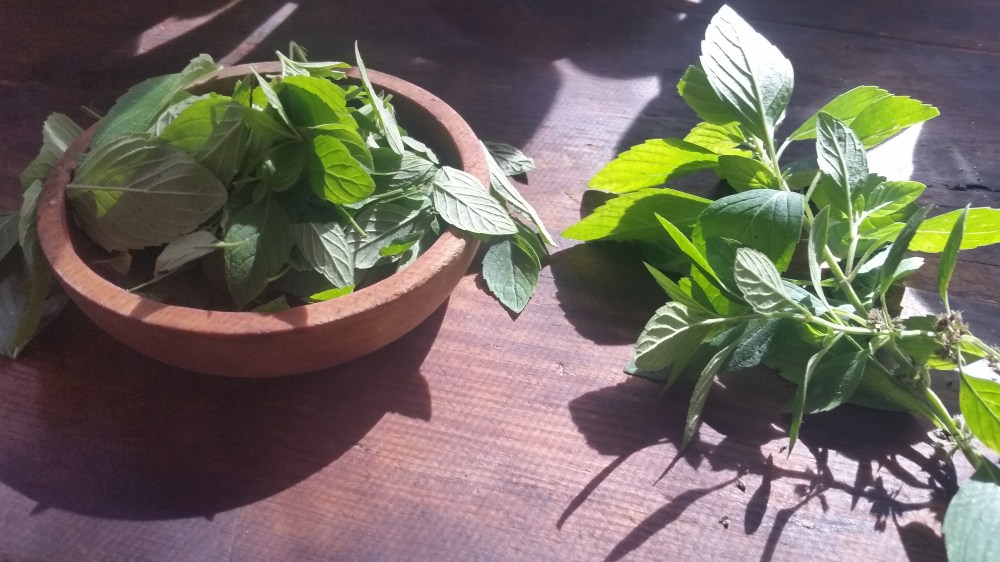 Pecan Mint Chutney 4