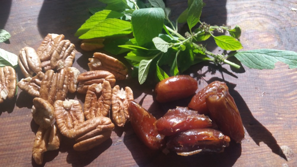 Pecan mint chutney 1