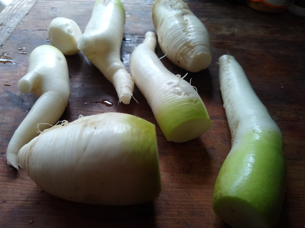 Tangy Radish Salad 1