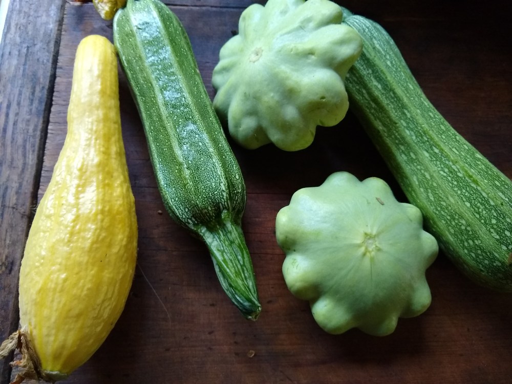 summer squash