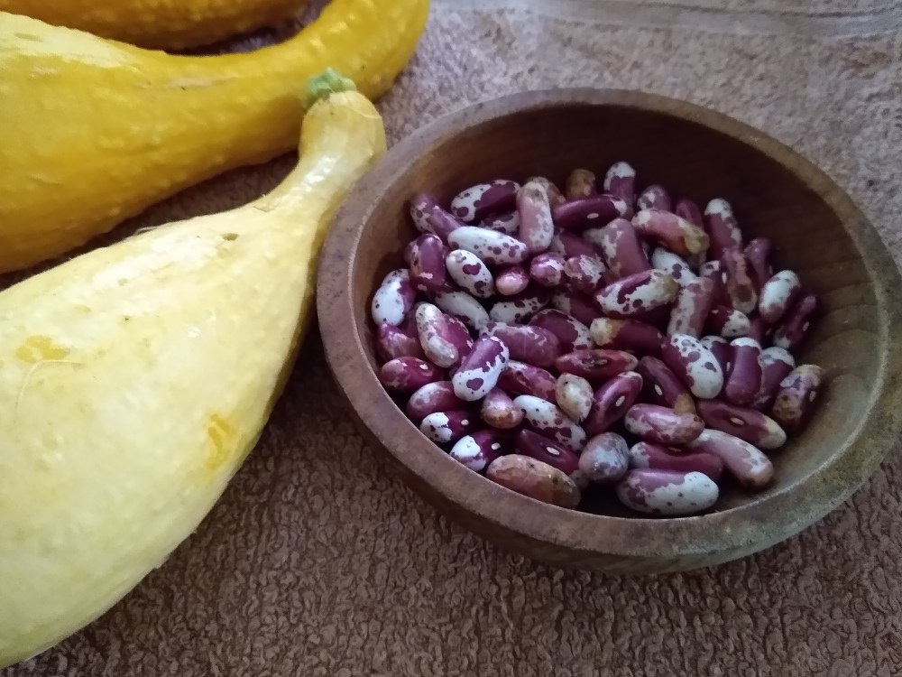 squash and dry beans
